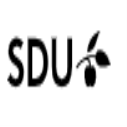 SDU International PhD Fellowships in 2D Materials, Denmark